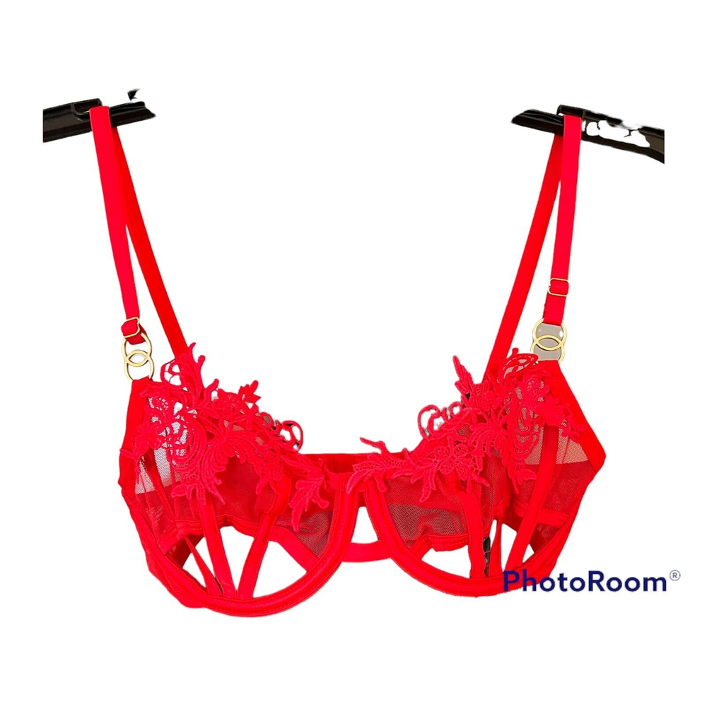 NEW BLUEBELLA Sheer Lace & Mesh Underwire Bra SZ 32 B Red $64 Sexy